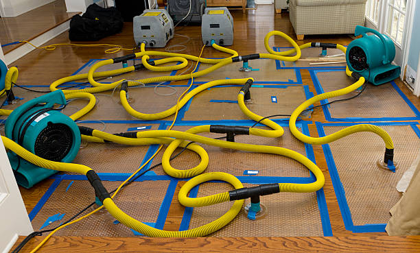 Professional Burst Pipe Water Damage technician working in Bridgeport, TX